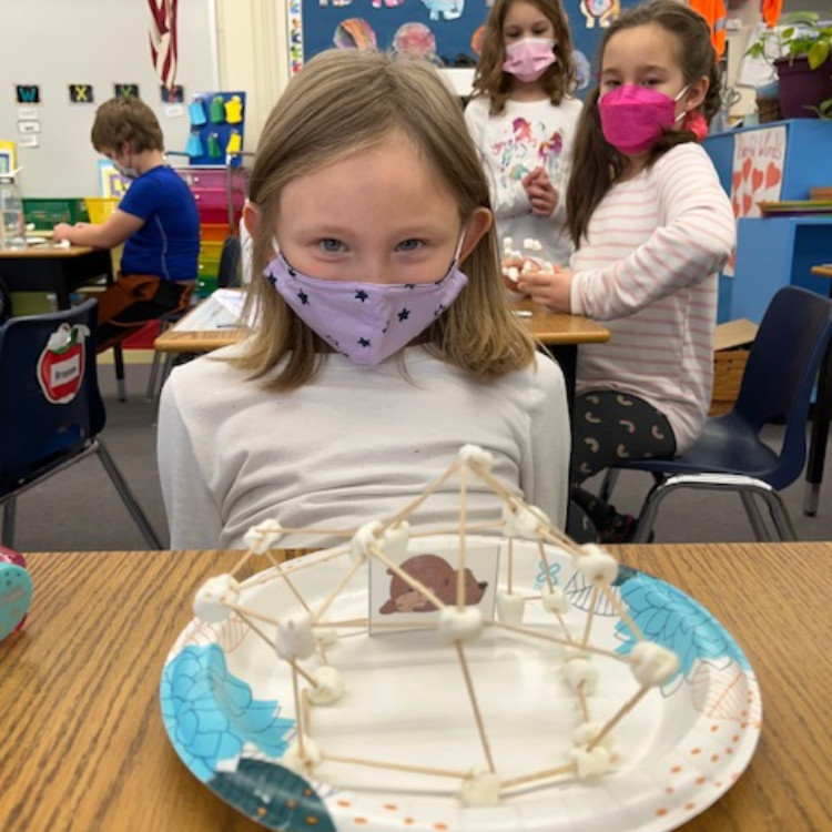 Featured image of article: 1st Grade Stem Project