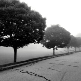 Featured image of article: Foggy morning at PES