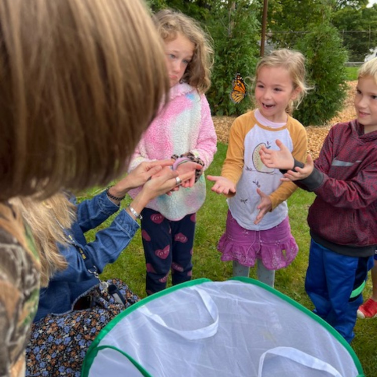 Featured image of article: Butterfly Release Day!